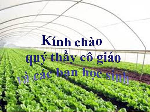 Bài 41. Bảo quản hạt, củ làm giống