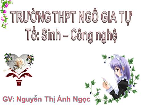 Bài 12. Đặc điểm, tính chất, kĩ thuật sử dụng một số loại phân bón thông thường