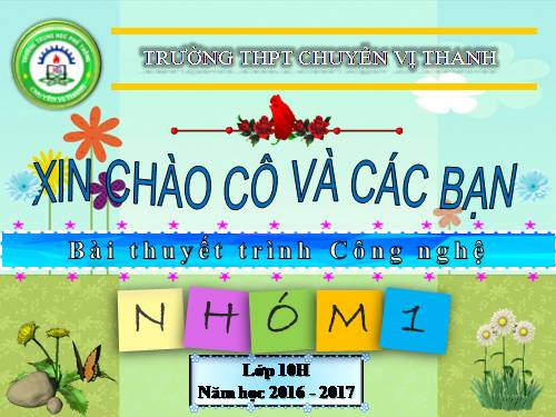 Bài 16. Thực hành: Nhận biết một số loại sâu, bệnh hại lúa