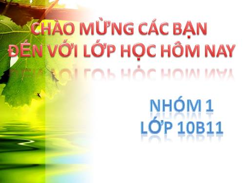 Bài 12. Đặc điểm, tính chất, kĩ thuật sử dụng một số loại phân bón thông thường