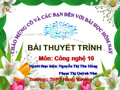 Bài 52. Thực hành: Lựa chọn cơ hội kinh doanh