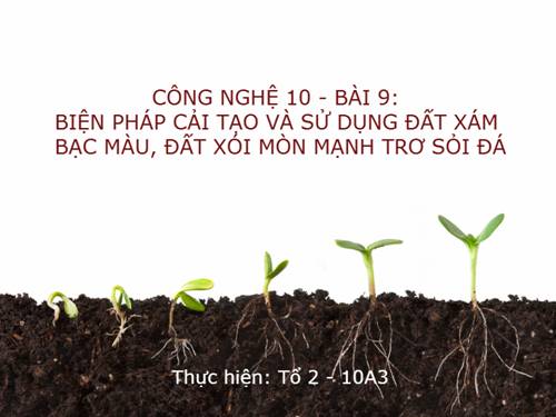 Bài 9. Biện pháp cải tạo và sử dụng đất xám bạc màu, đất xói mòn mạnh trơ sỏi đá