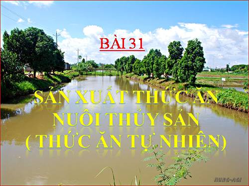 Bài 31. Sản xuất thức ăn nuôi thủy sản