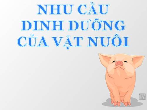 Bài 28. Nhu cầu dinh dưỡng của vật nuôi