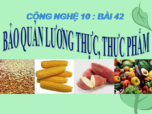 Bài 42. Bảo quản lương thực, thực phẩm