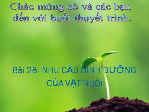 Bài 28. Nhu cầu dinh dưỡng của vật nuôi