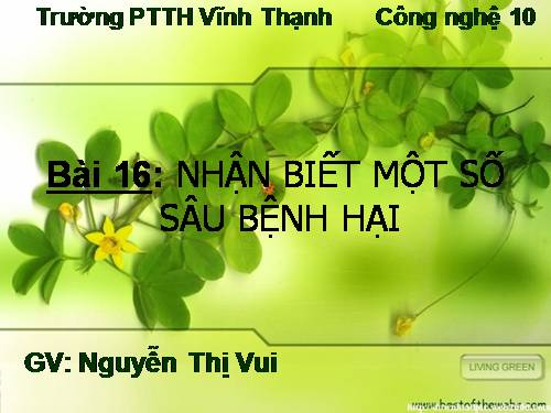 Bài 16. Thực hành: Nhận biết một số loại sâu, bệnh hại lúa