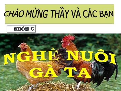 Bài 56. Thực hành: Xây dựng kế hoạch kinh doanh