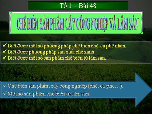 Bài 48. Chế biến sản phẩm cây công nghiệp và lâm sản