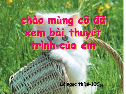 Bài 51. Lựa chọn lĩnh vực kinh doanh