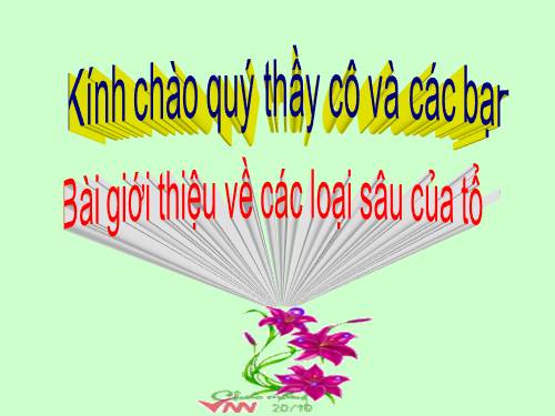 Bài 16. Thực hành: Nhận biết một số loại sâu, bệnh hại lúa