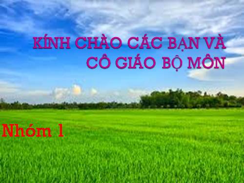 Bài 19. Ảnh hưởng của thuốc hóa học bảo vệ thực vật đến quần thể sinh vật và môi trường