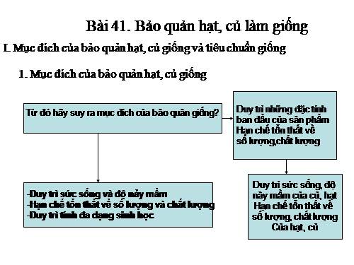 Bài 41. Bảo quản hạt, củ làm giống