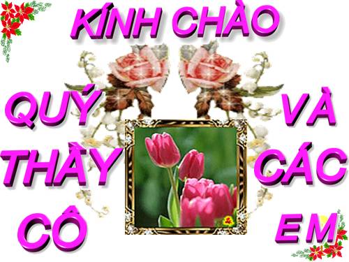 Bài 50. Doanh nghiệp và hoạt động kinh doanh của doanh nghiệp