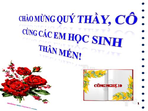 Bài 7. Một số tính chất của đất trồng