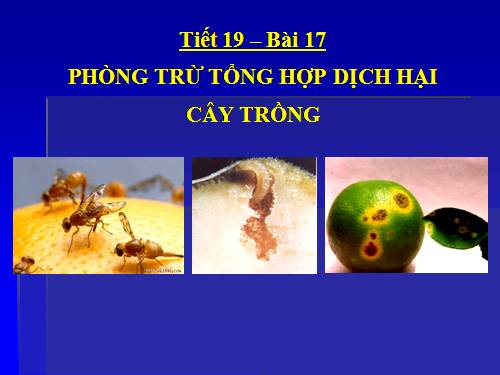 Bài 17. Phòng trừ tổng hợp dịch hại cây trồng