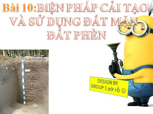 Bài 10. Biện pháp cải tạo và sử dụng đất mặn, đất phèn