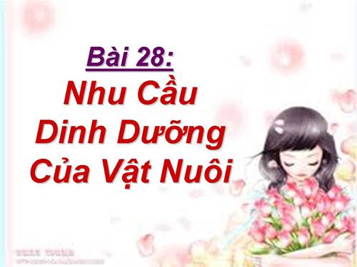 Bài 28. Nhu cầu dinh dưỡng của vật nuôi