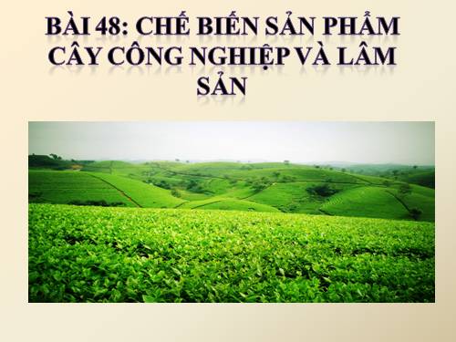 Bài 48. Chế biến sản phẩm cây công nghiệp và lâm sản