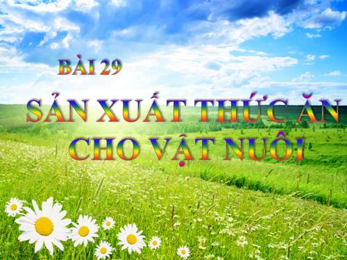 Bài 29. Sản xuất thức ăn cho vật nuôi