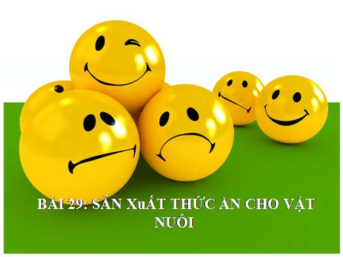 Bài 29. Sản xuất thức ăn cho vật nuôi