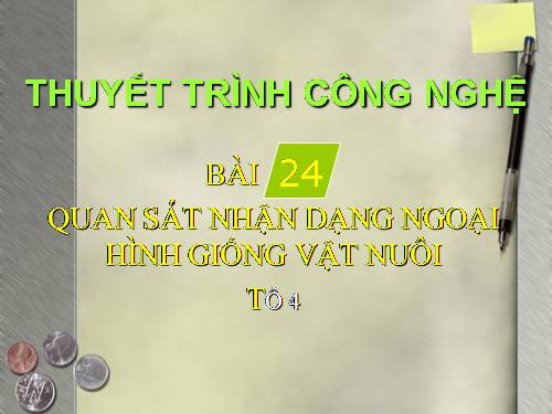 Bài 24. Thực hành: Quan sát, nhận dạng ngoại hình giống vật nuôi