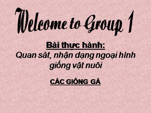 Bài 24. Thực hành: Quan sát, nhận dạng ngoại hình giống vật nuôi