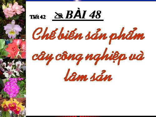 Bài 48. Chế biến sản phẩm cây công nghiệp và lâm sản