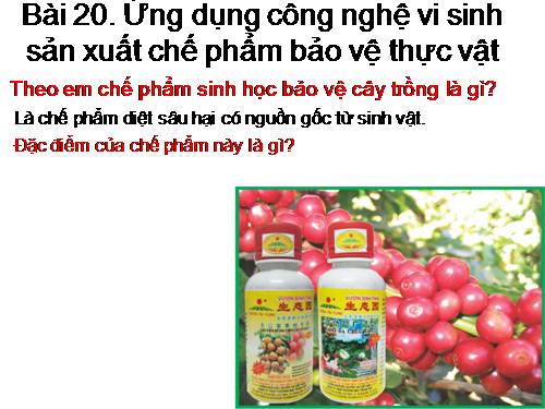 Bài 20. Ứng dụng công nghệ vi sinh sản xuất chế phẩm bảo vệ thực vật