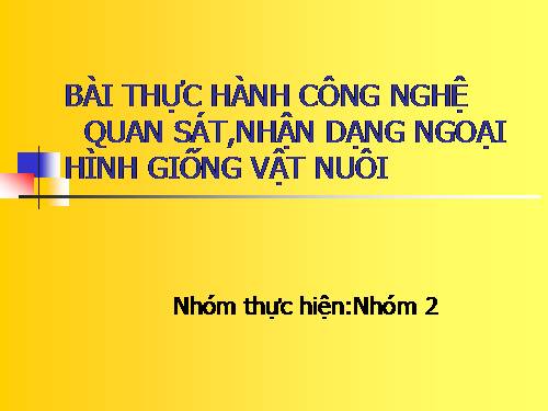 Bài 24. Thực hành: Quan sát, nhận dạng ngoại hình giống vật nuôi