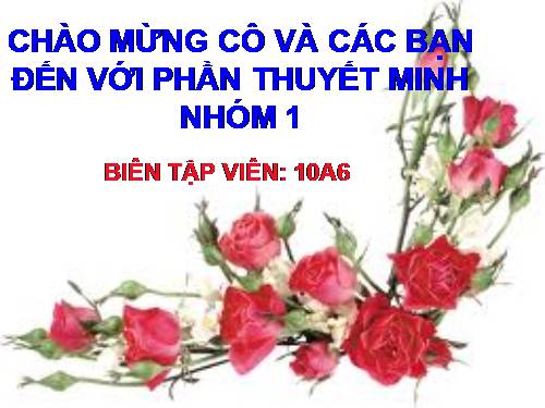 Bài 56. Thực hành: Xây dựng kế hoạch kinh doanh