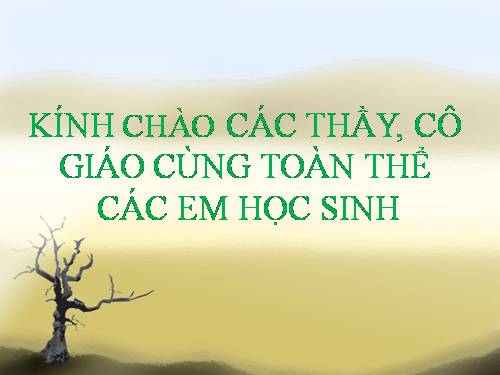 Bài 51. Lựa chọn lĩnh vực kinh doanh