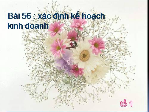 Bài 53. Xác định kế hoạch kinh doanh