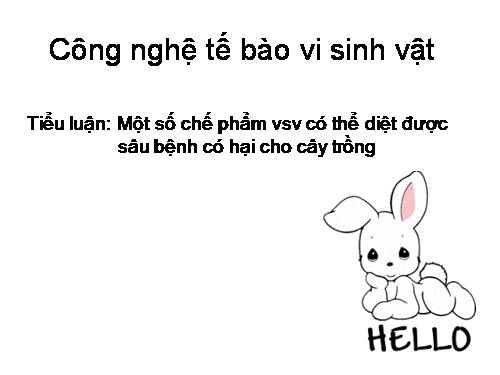 Chế phẩm thuốc trừ sâu vi sinh