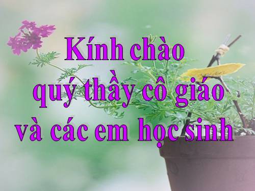 Bài 47. Thực hành: Làm sữa chua hoặc sữa đậu nành (đậu tương) bằng phương pháp đơn giản