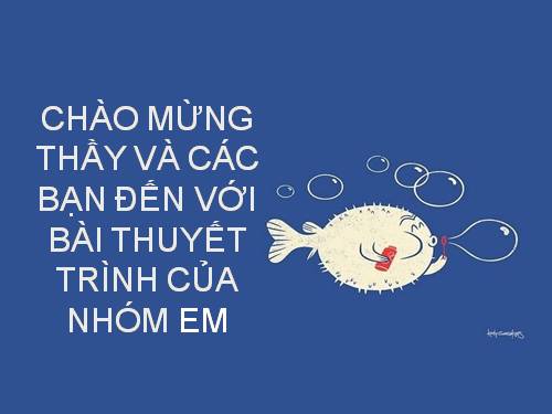 Bài 51. Lựa chọn lĩnh vực kinh doanh