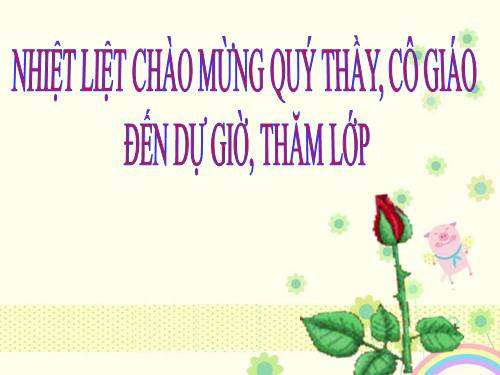 Bài 14. Thực hành: Trồng cây trong dung dịch