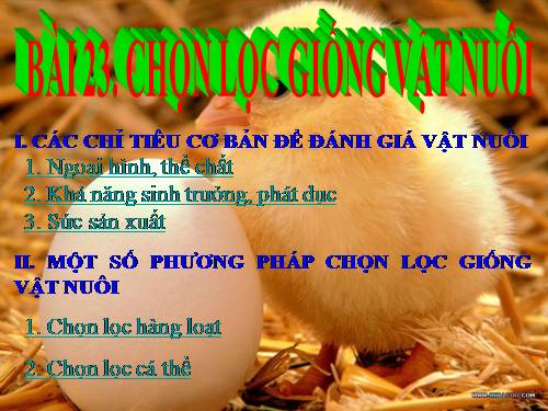 Bài 23. Chọn lọc giống vật nuôi