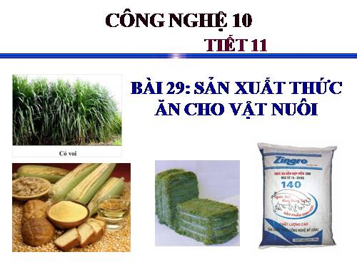 Bài 29. Sản xuất thức ăn cho vật nuôi