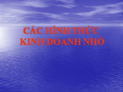 Bài: Các hình thức kinh doanh