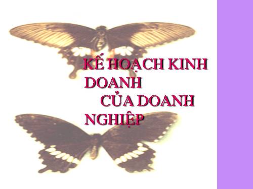 KH kinh doanh của doanh nghiệp