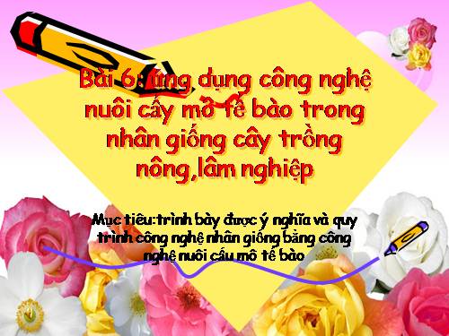 Bài 6. Ứng dụng công nghệ nuôi cấy mô tế bào trong nhân giống cây trồng nông, lâm nghiệp