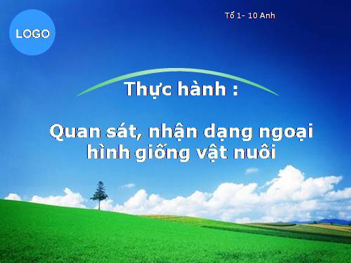 Bài 24. Thực hành: Quan sát, nhận dạng ngoại hình giống vật nuôi