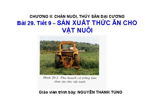 Bài 29. Sản xuất thức ăn cho vật nuôi