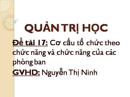 Cơ Cấu Tồ Chức Theo Chức Năng