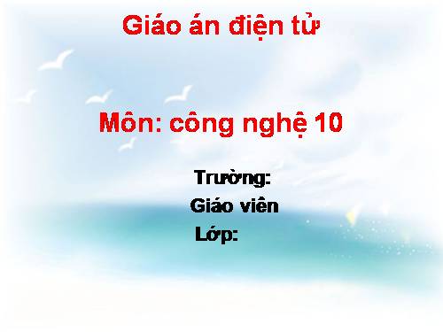 Bài 50. Doanh nghiệp và hoạt động kinh doanh của doanh nghiệp