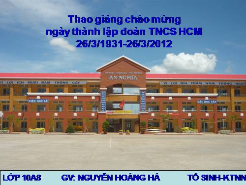 Bài 50. Doanh nghiệp và hoạt động kinh doanh của doanh nghiệp