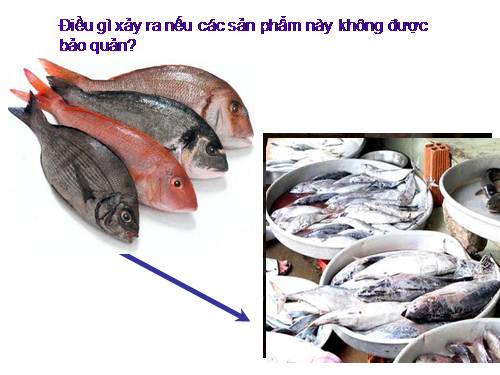 Bài 40. Mục đích, ý nghĩa của công tác bảo quản, chế biến nông, lâm, thủy sản