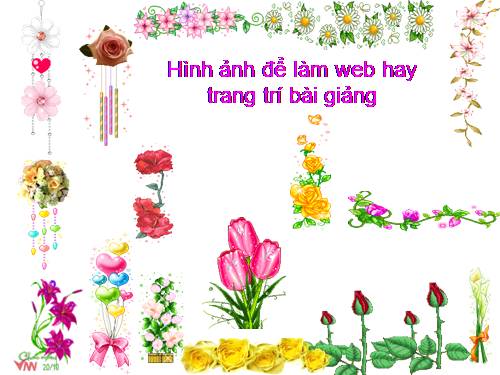 trang tri web va bai giang rat dep