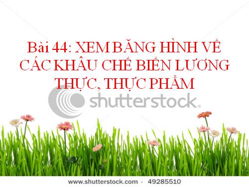 Bài 44. Chế biến lương thực, thực phẩm